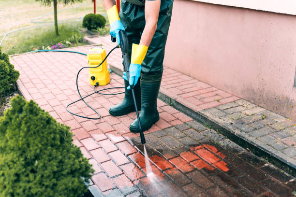 Best Concrete Pressure Washing  in New Chicago, IN