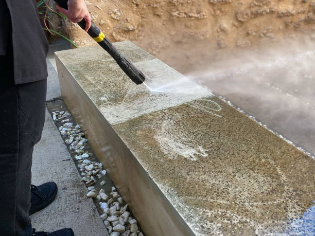 Best Roof Power Washing Services  in New Chicago, IN
